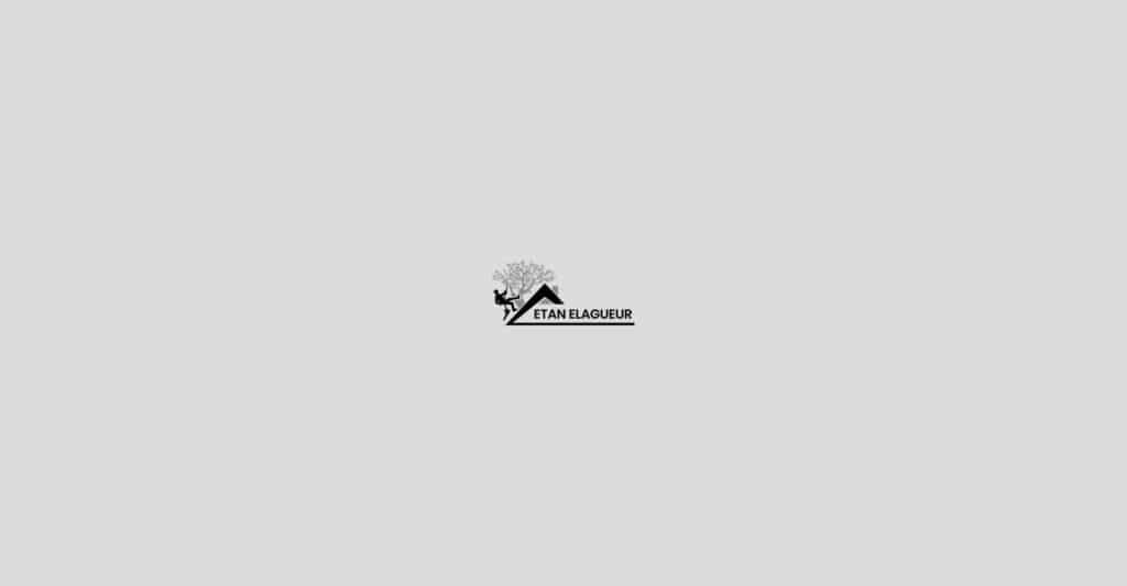 Logo Etan Élagueur: silhouette d'un arboriste en action près d'un arbre stylisé et d'un toit.