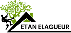 Logo vert stylisé avec arbre feuillu à gauche et formes géométriques évoquant une lettre K ou R à droite sur fond noir.