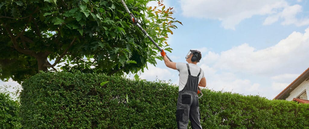 Jardinier en équipement de sécurité taille un grand arbre feuillu avec une élagueuse à perche au-dessus d'une haie verte sous un ciel bleu.